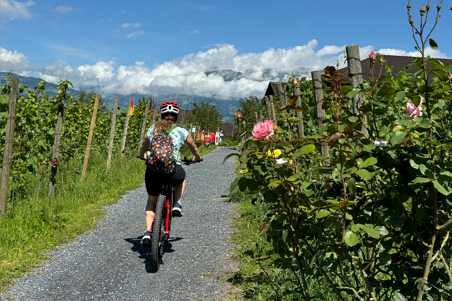 The Liechtenstein Trail