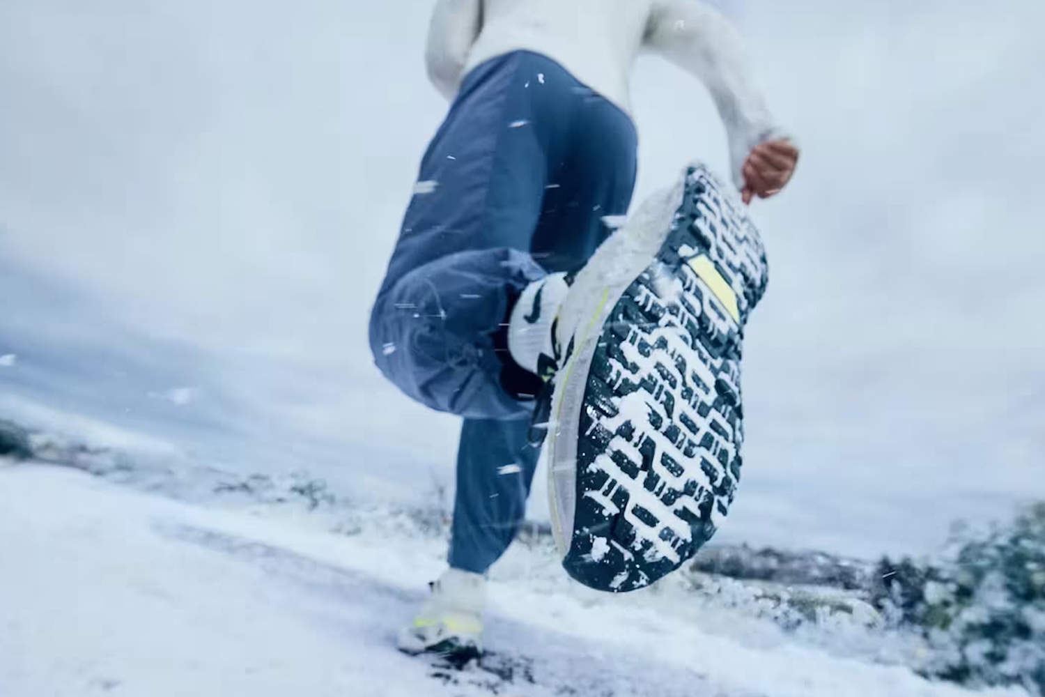 Nike GORE-TEX shoes