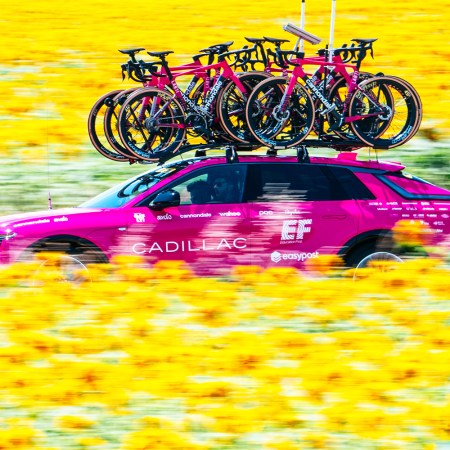 A pink Cadillac Lyriq with bicycles on a roof rack driving through a field of yellow flowers during the Tour de France