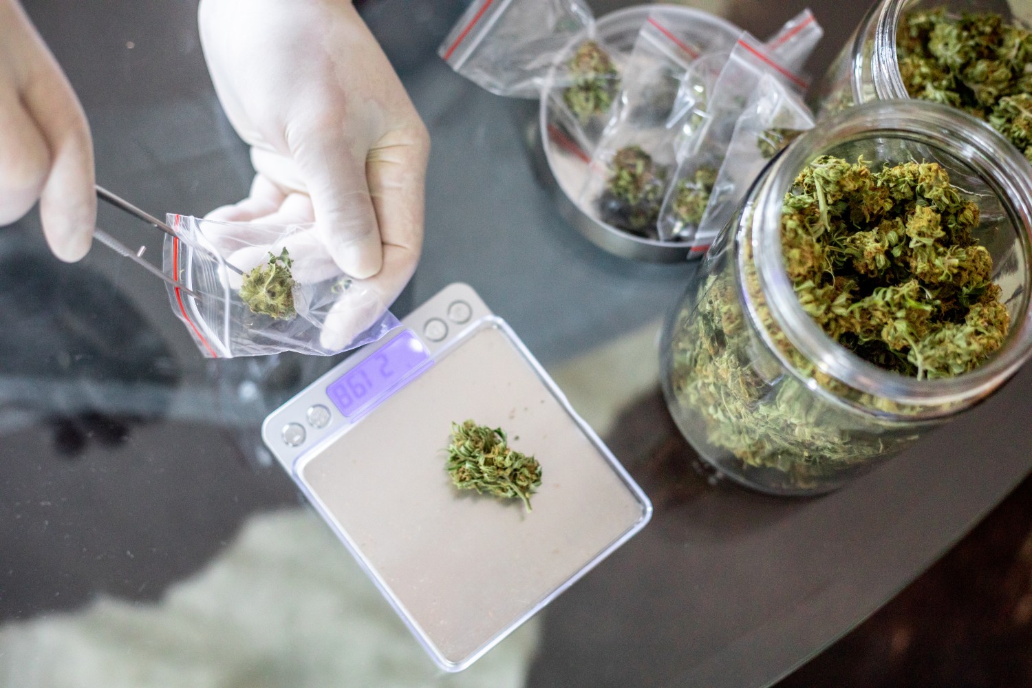 Pharmacist weighing cannabis