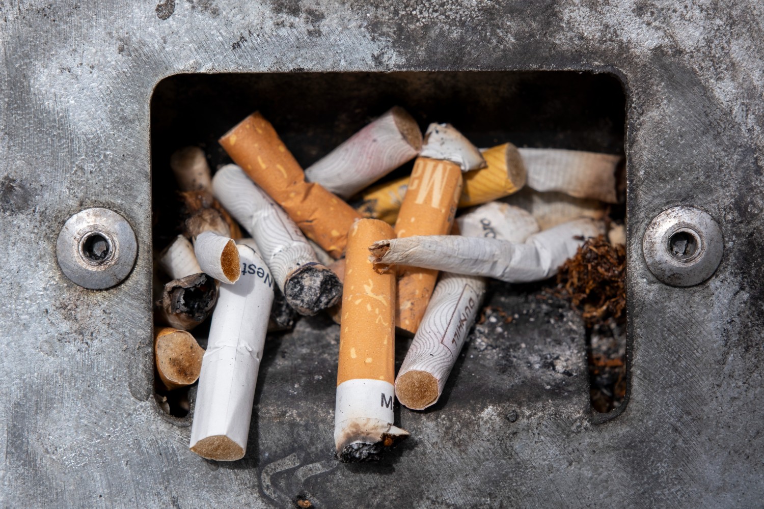cigarette butts in ashtray