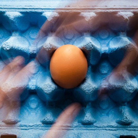 Single brown egg in blue carton, representing choline-rich foods for brain health.