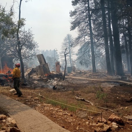 building remains after wildfire