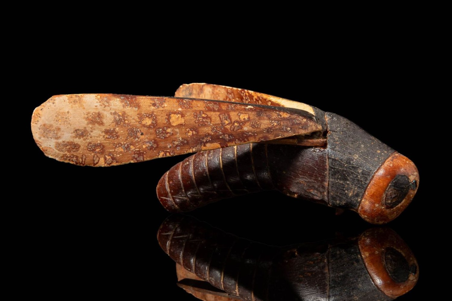 Ancient Egyptian grasshopper