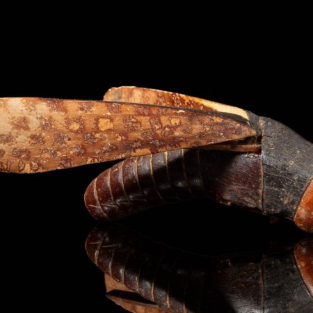 Ancient Egyptian grasshopper