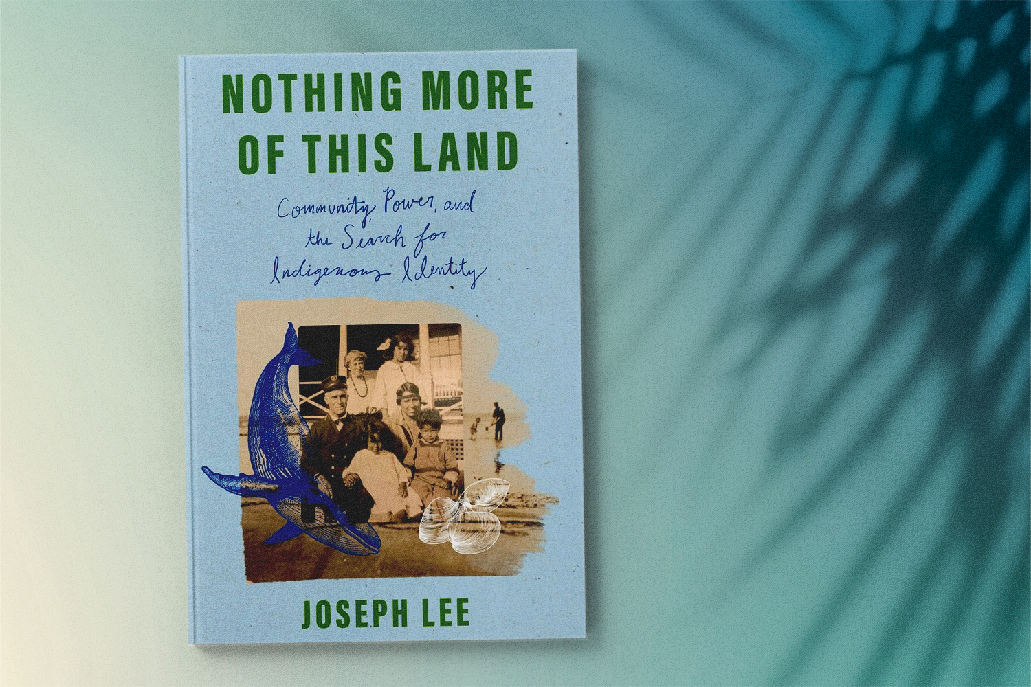Joseph Lee, Nothing More of This Land: Community, Power, and the Search for Indigenous Identity
