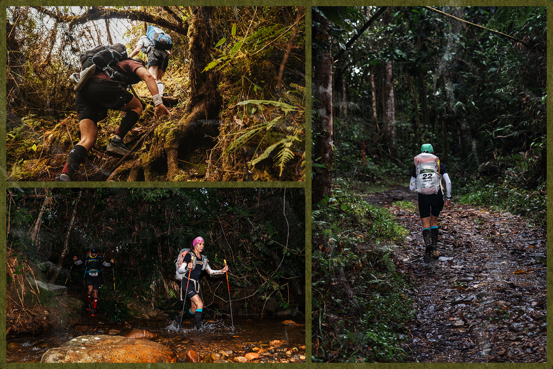 A split image: three photos showing runners in the jungle.