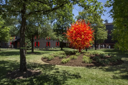 Dale Chihuly sculpture at Star Hill Farm