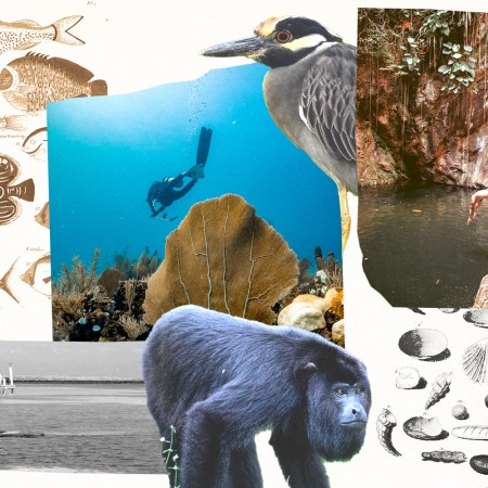 Headed to Belize? Read this first.