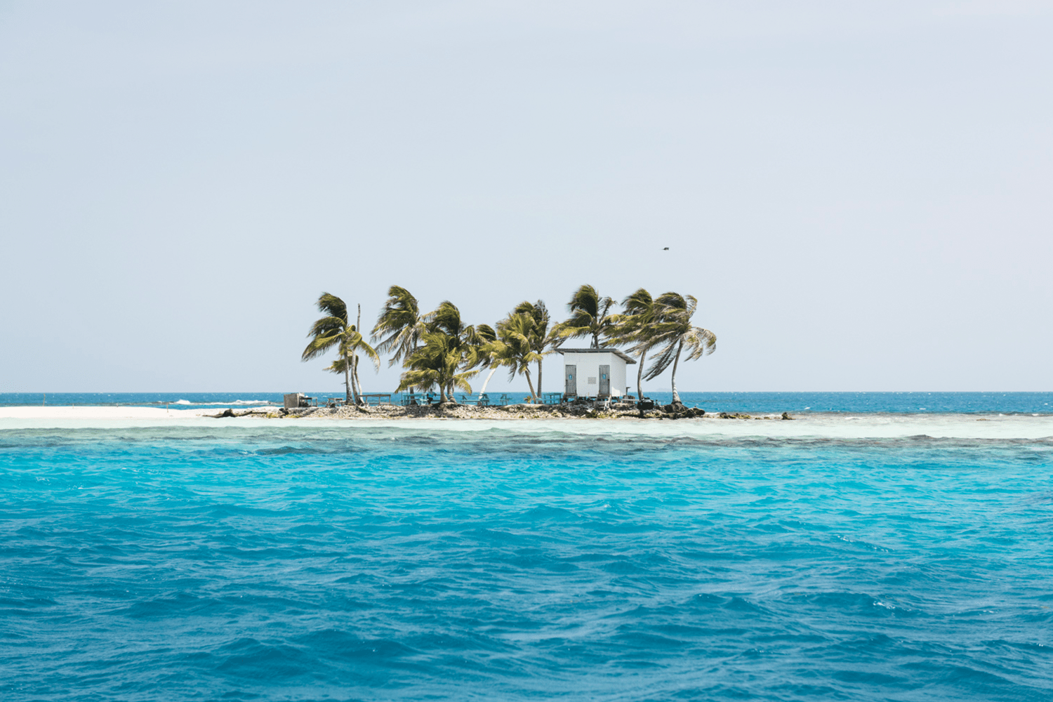 Silk Caye