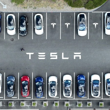 Parked Tesla cars