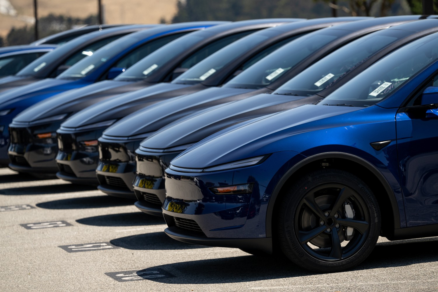 Tesla EVs lined up