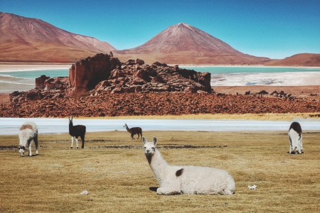 A vast, otherworldly expanse of blindingly white salt crust, Salar de Uyuni sits at nearly 12,000 feet above sea level and was formed by the evaporation of ancient lakes.