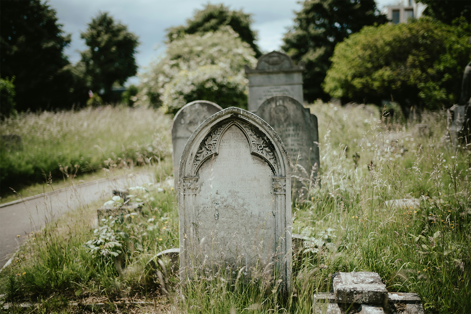 From Tombstones to Tornadoes, the Oddest Trips Are Trending This Fall