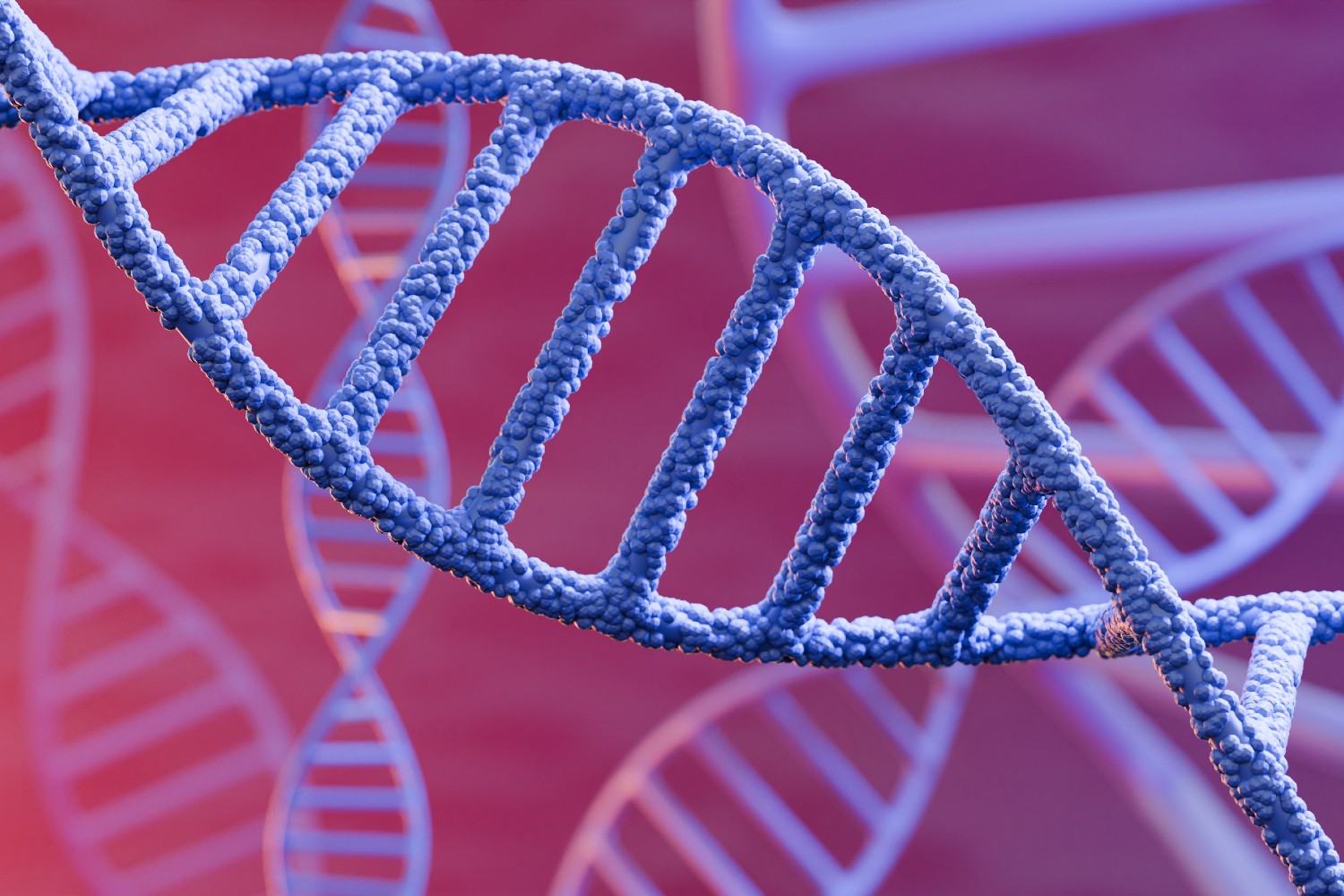 Image of DNA double helix