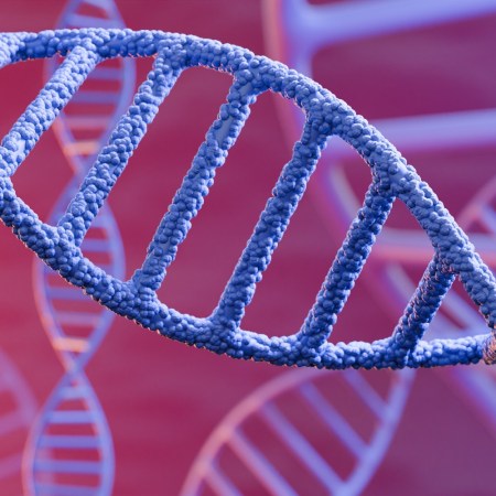 Image of DNA double helix