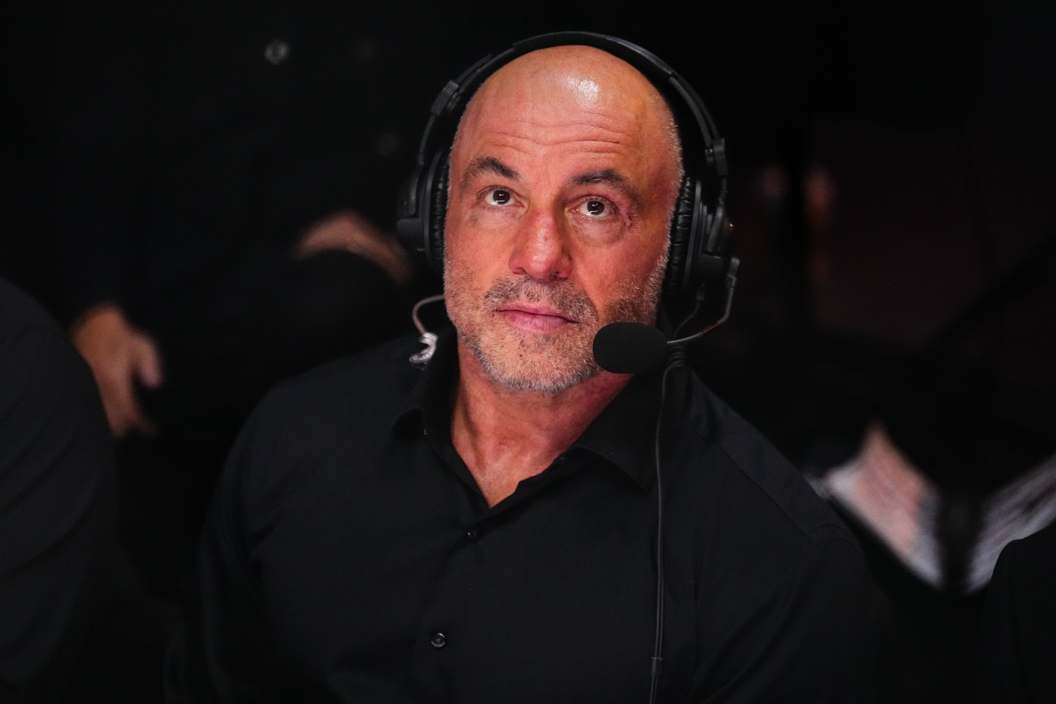 Joe Rogan in 2024