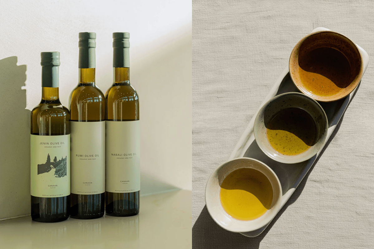 Canaan Palestine The Signature Olive Oils Gift Set