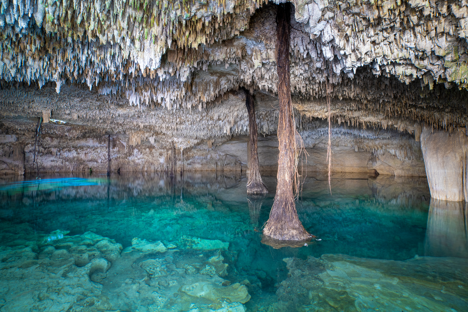 Rock formations at Cenote Zapote