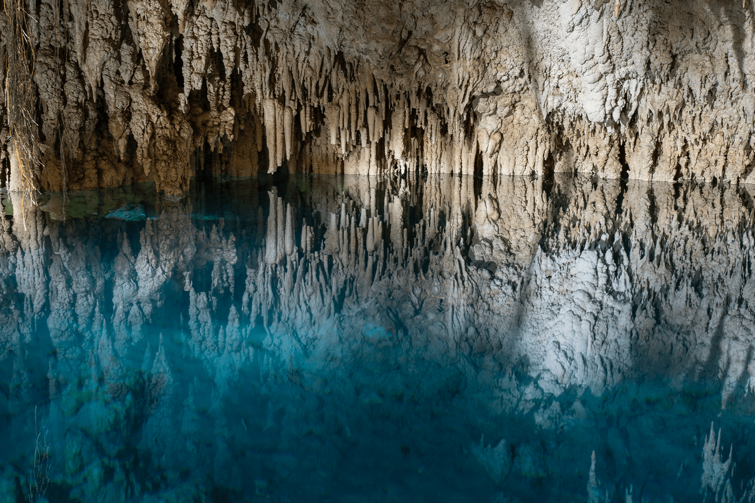 Cenote Zapote's rock formations
