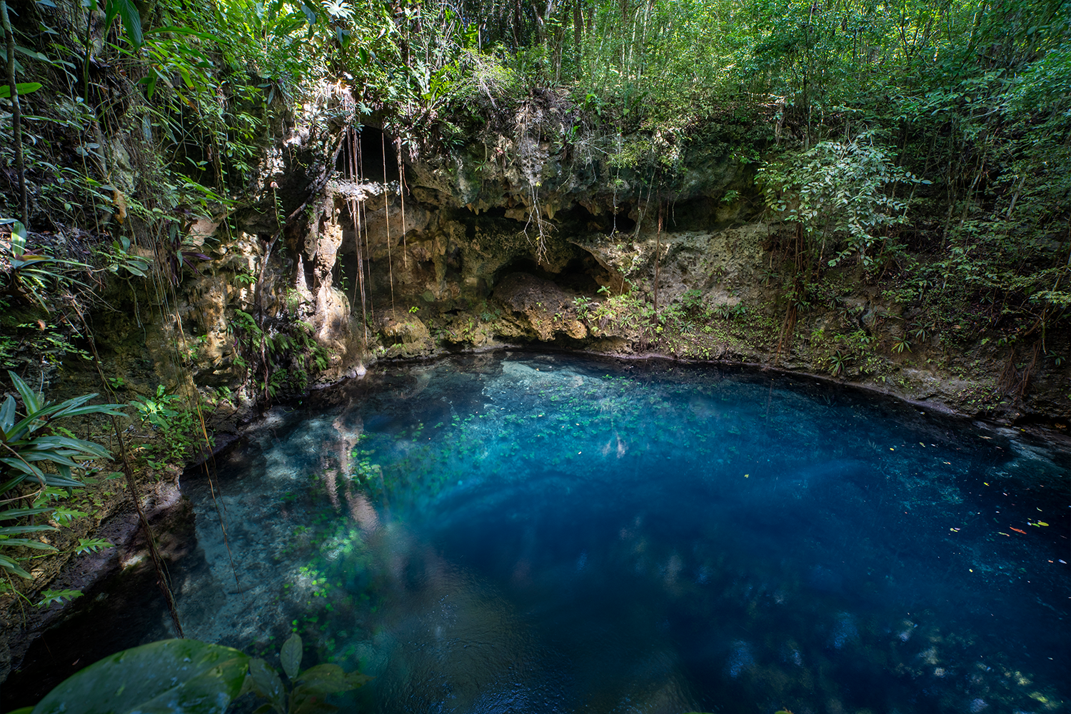 Cenote Zapote from above