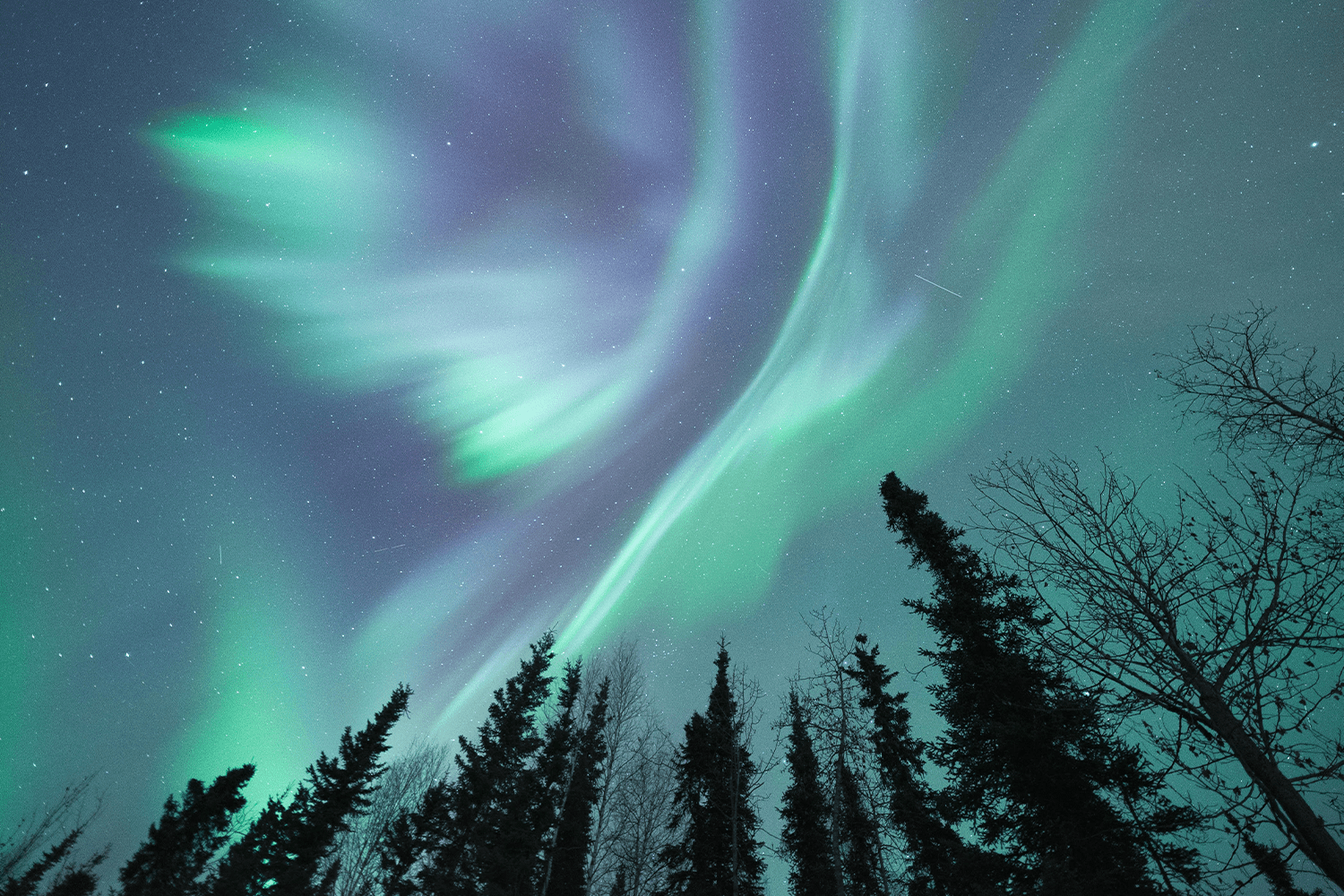 A cold night, a clear sky and a little luck is all it takes