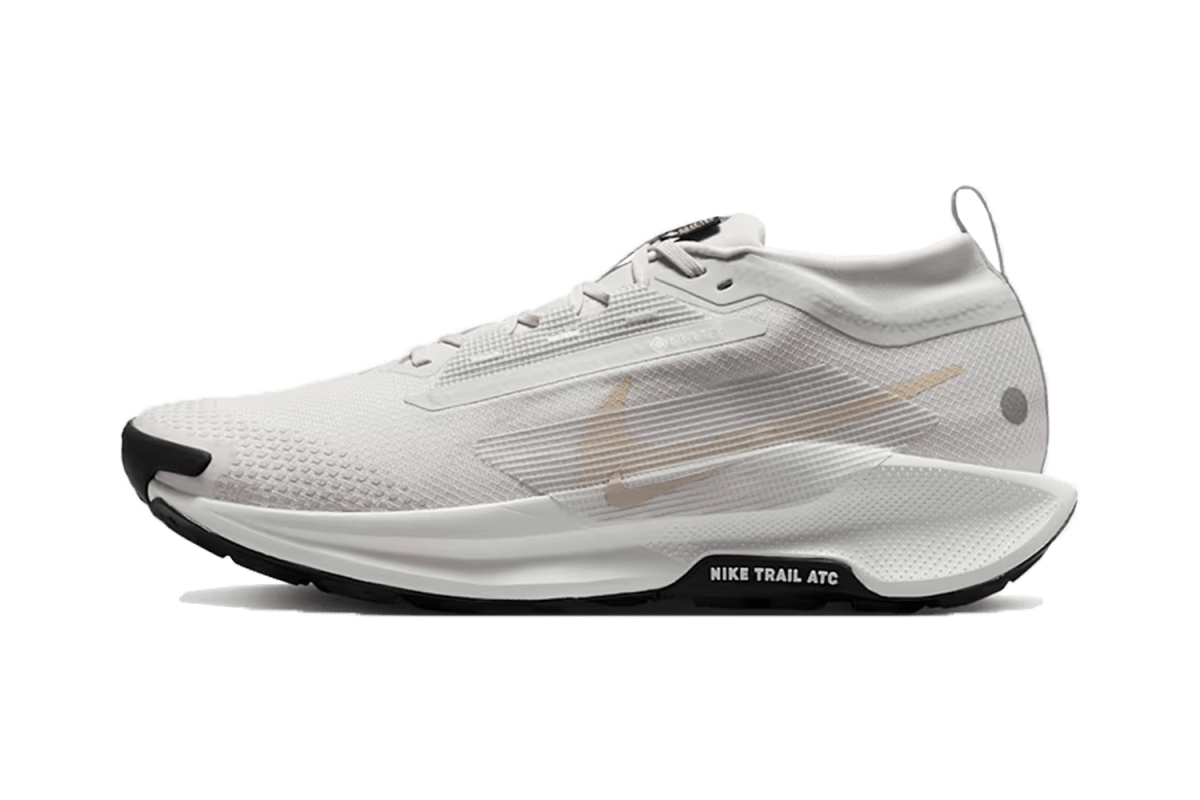 Nike Pegasus Trail 5 GORE-TEX