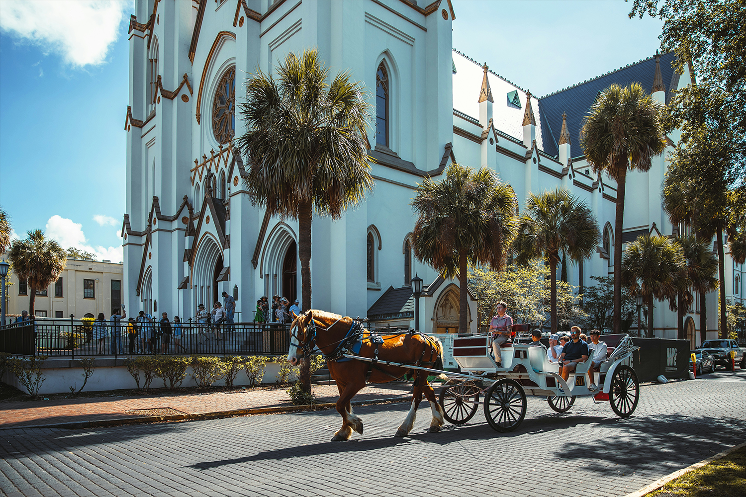 Savannah