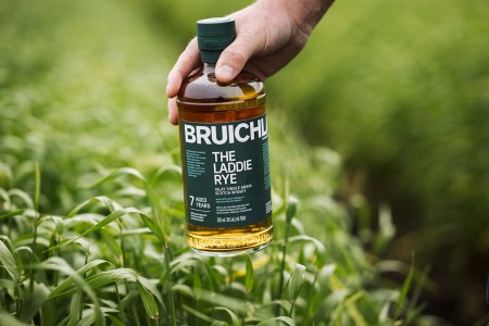 The Laddie Rye by Bruichladdich in a field of rye