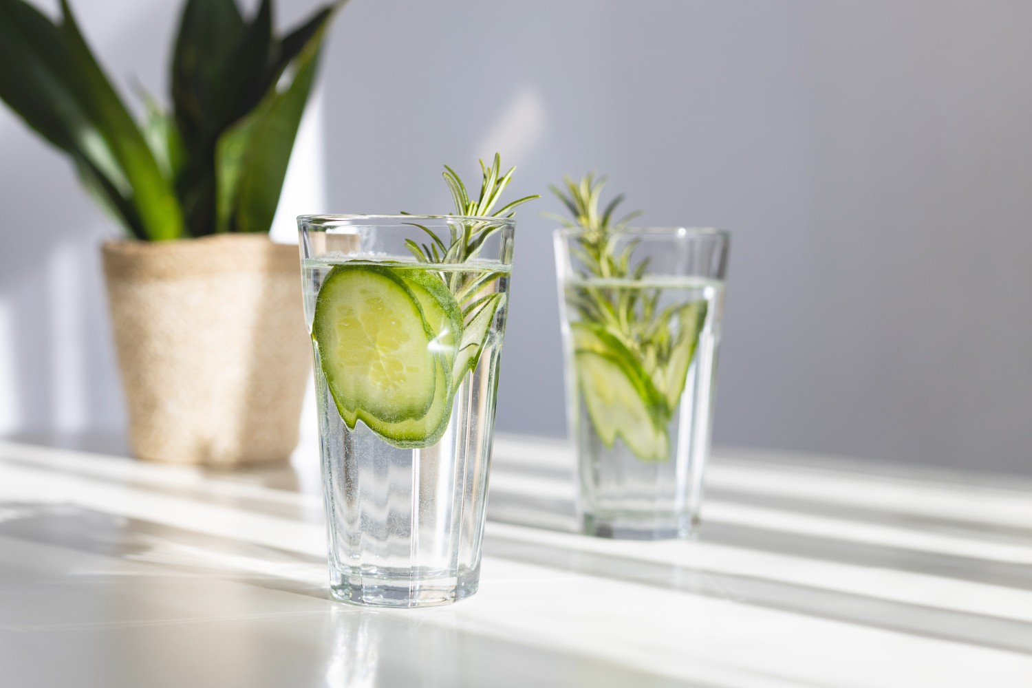 Gin cocktails