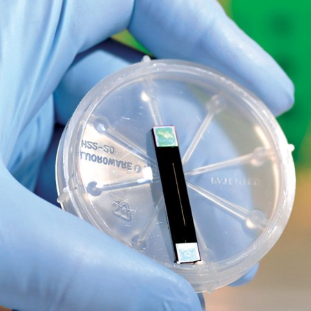 Black silicon