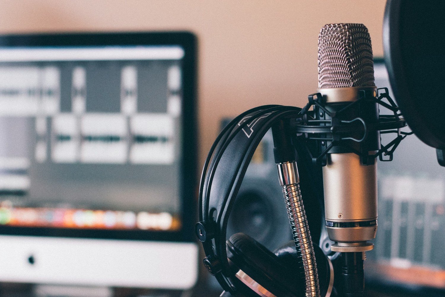 Microphone and computer