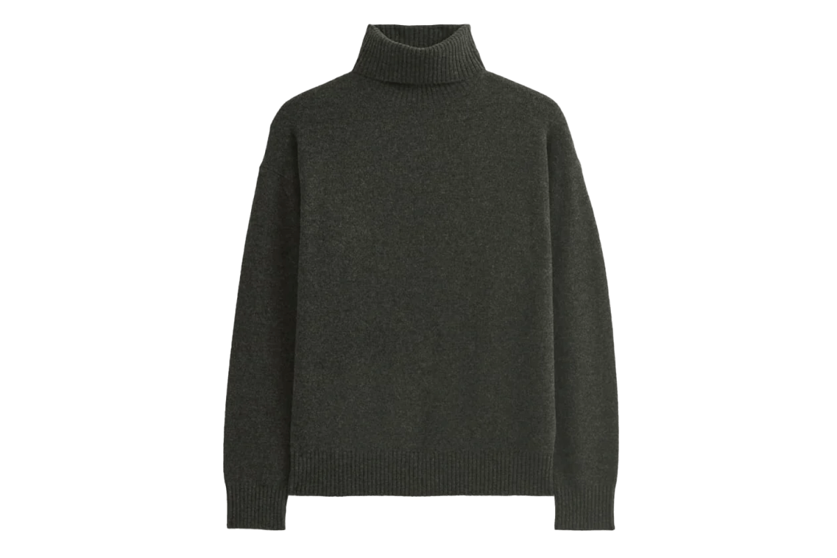 Everlane Luxe Merino Relaxed Turtleneck