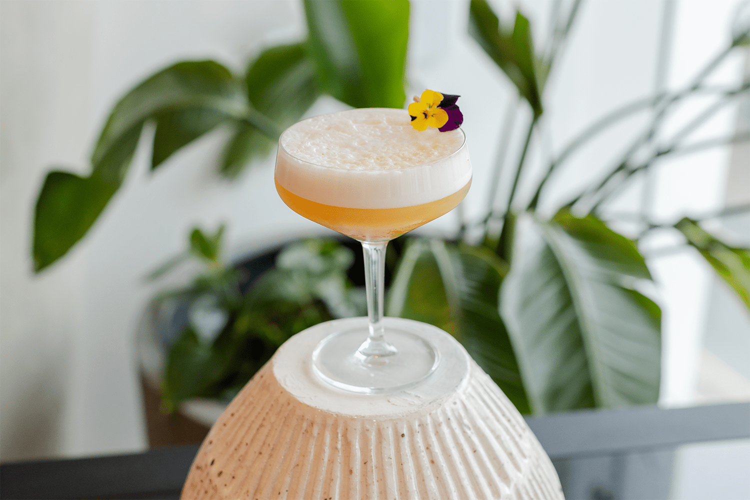 A Marzipan Sour