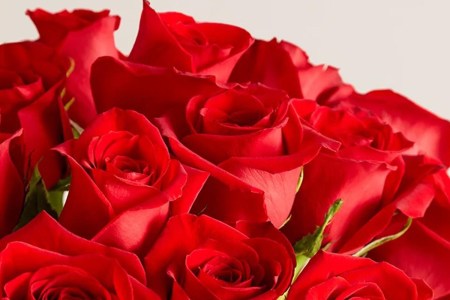 The Best Bouquets to Order From 1-800-Flowers
