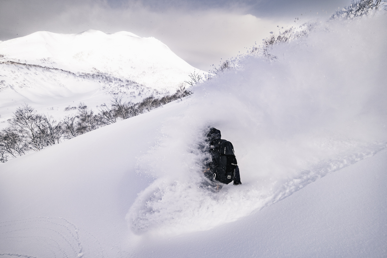 A spray of snow as a skier bombs down a mountain in Hokkaido.