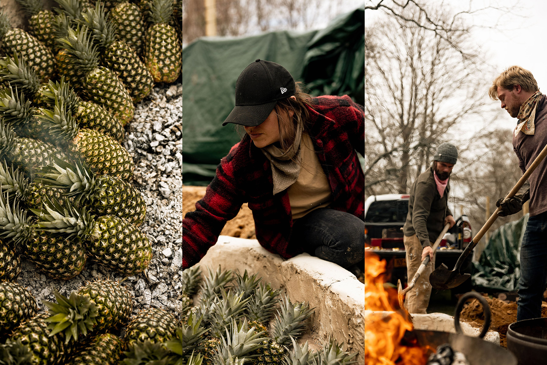 Smoking the pineapples