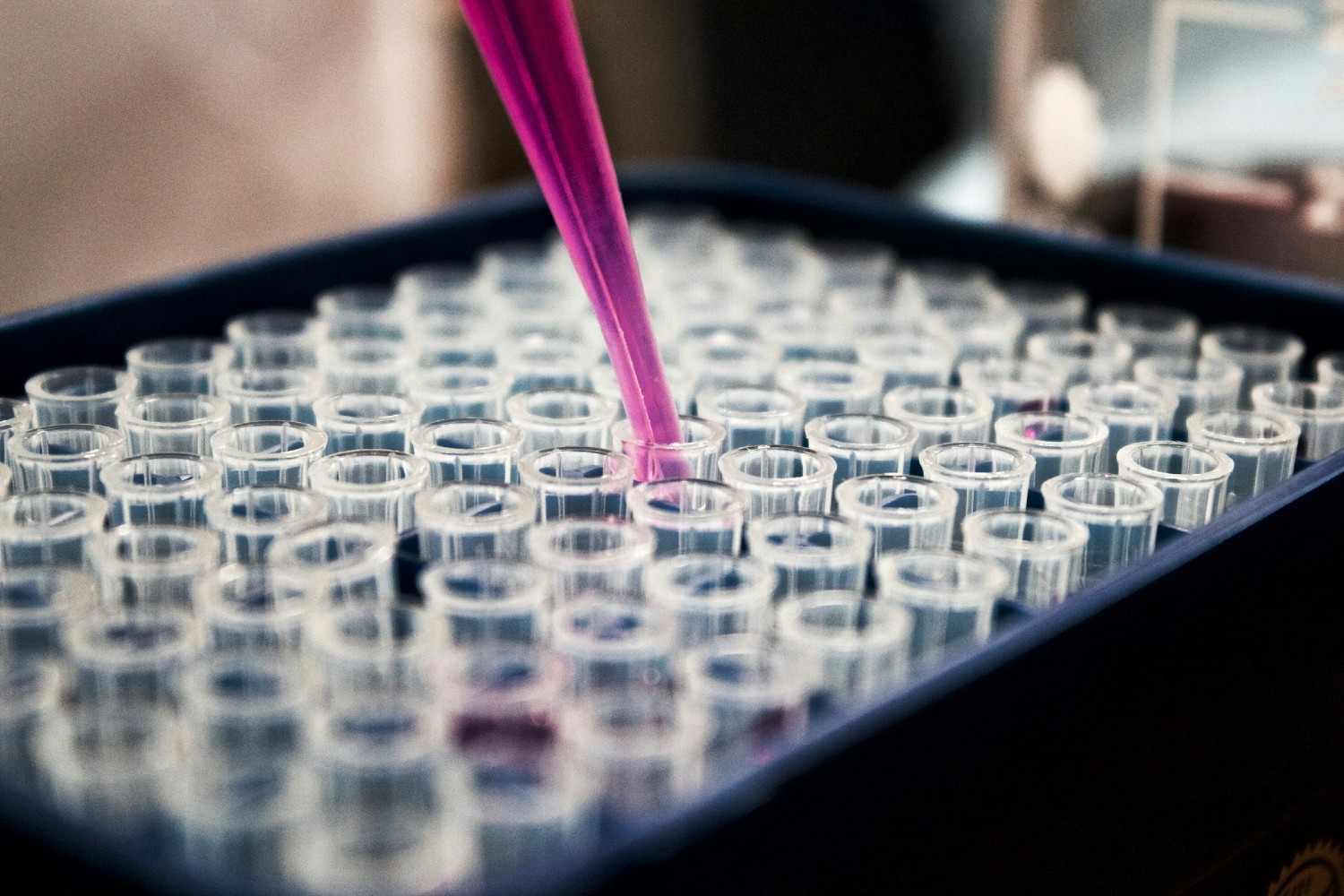 Vials undergoing testing