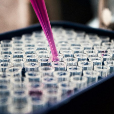 Vials undergoing testing