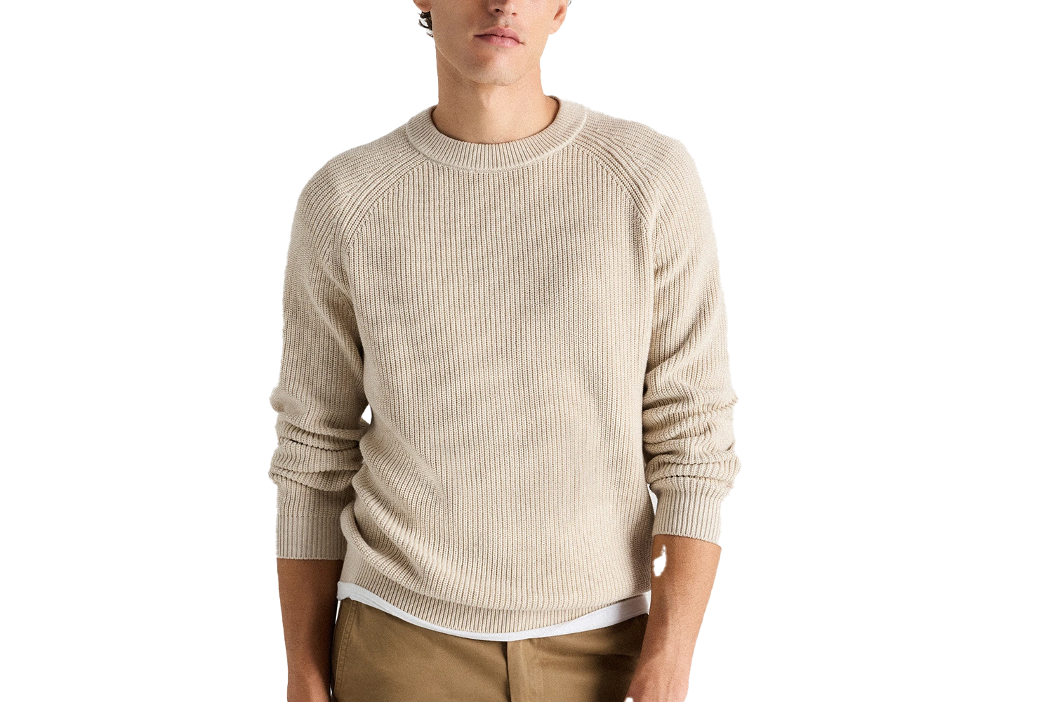 Quince 100% Organic Cotton Ribbed Crewneck Sweater