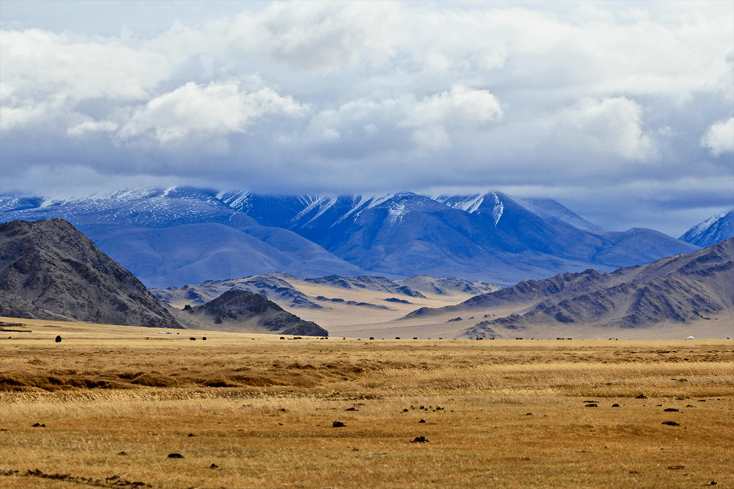 Altai Mountains, Mongolia