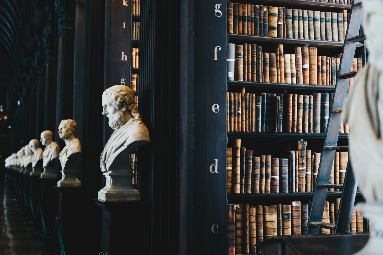 Shelves in a library