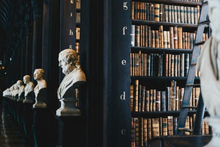 Shelves in a library