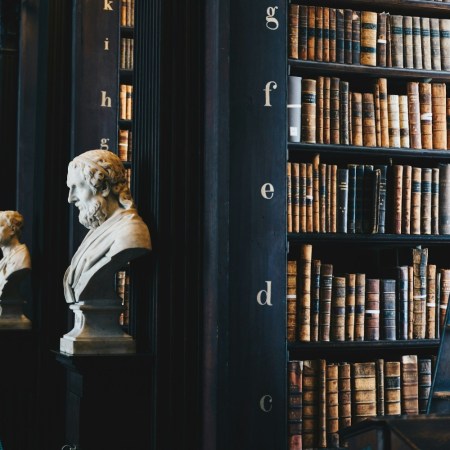 Shelves in a library