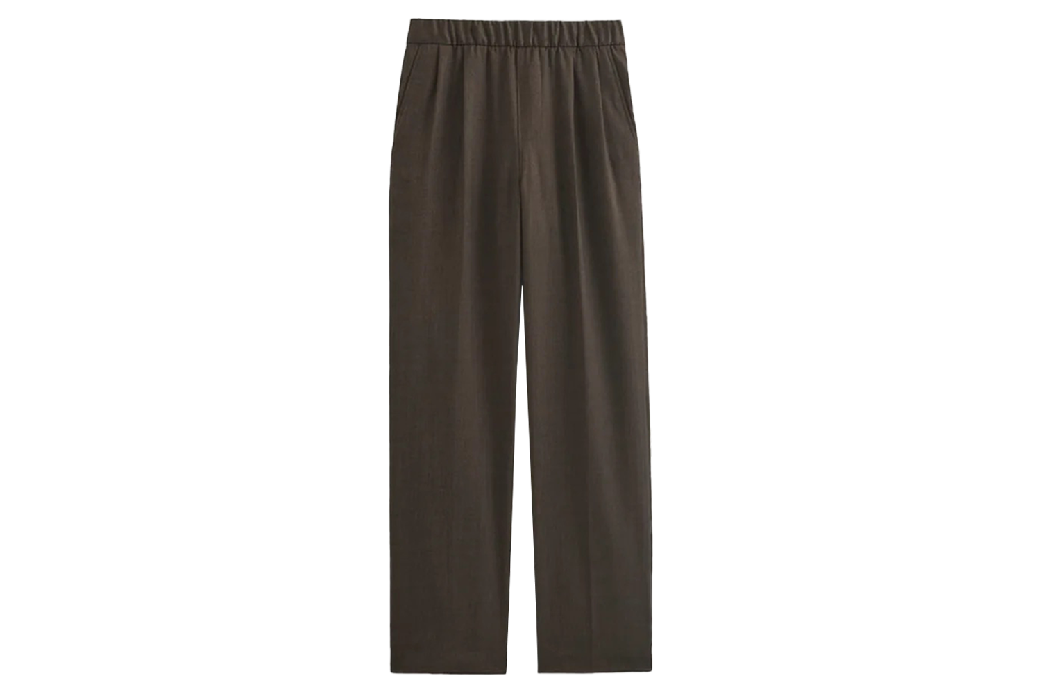 Everlane Pleated Trouser in Tailor Twill