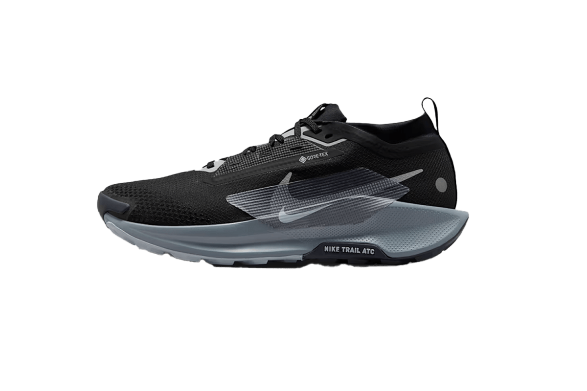 Nike Pegasus Trail 5 GORE-TEX