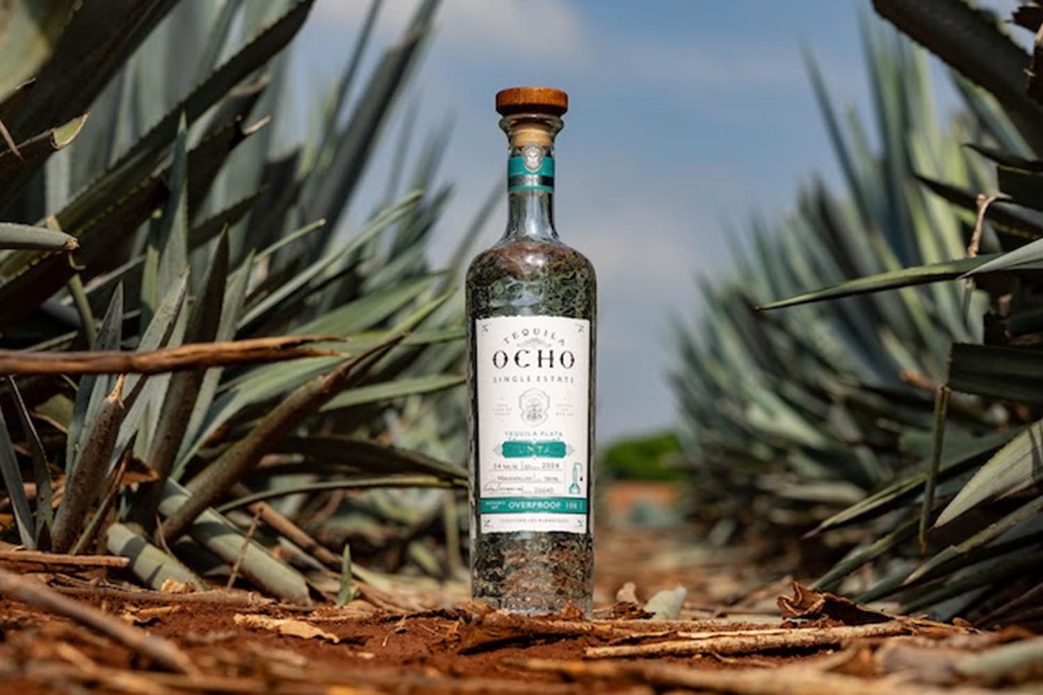 Tequila Ocho Plata Puntas 2024