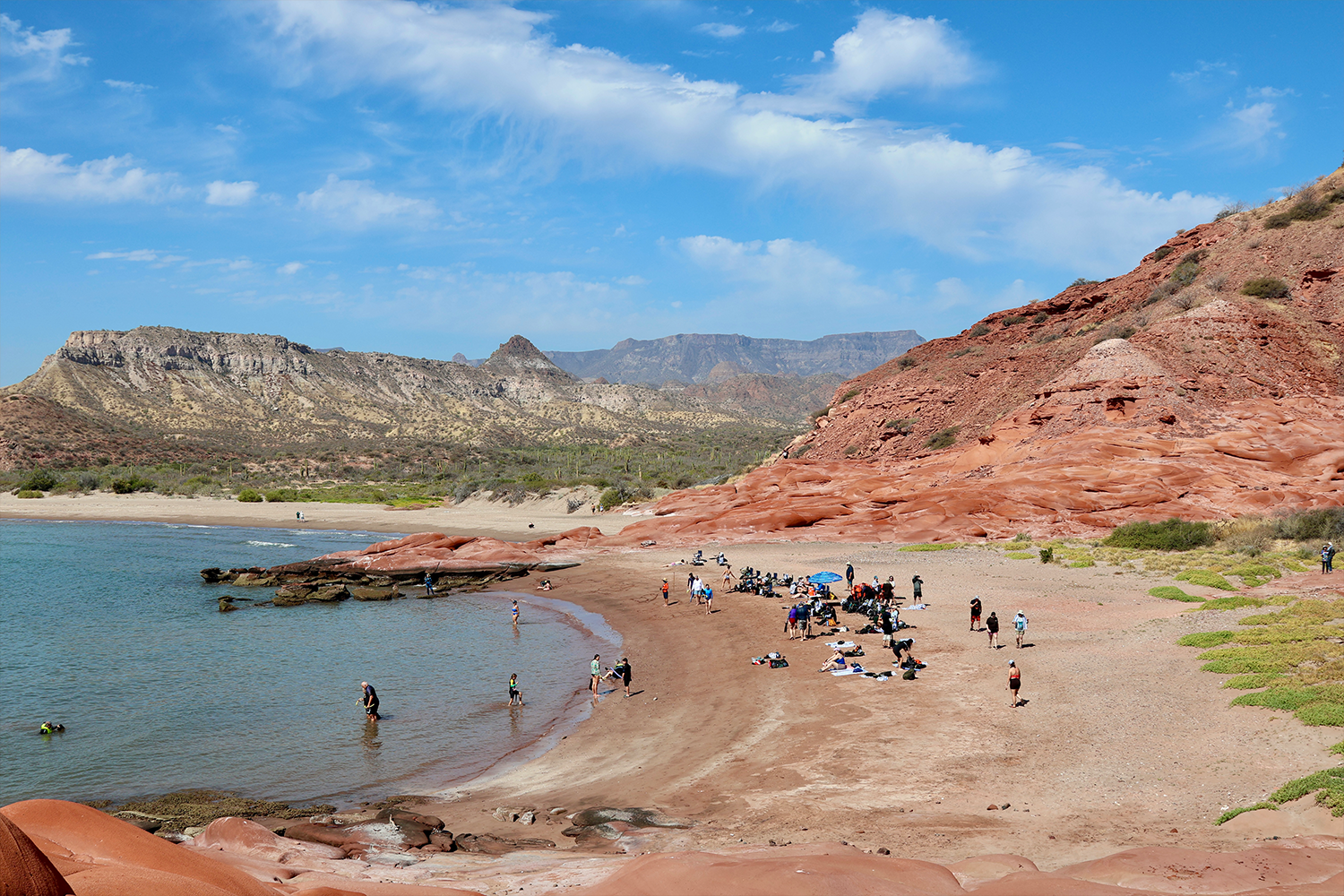 A group of visitors explore a secluded cove in Baja California, with dramatic red sandstone cliffs framing a curved sandy beach along the Sea of Cortez, desert mountains and saguaro cacti stretching into the distance under a bright blue sky.