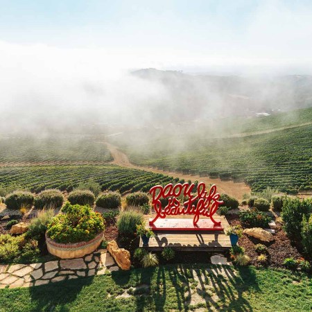 Daou Vineyards in Paso Robles at sunrise
