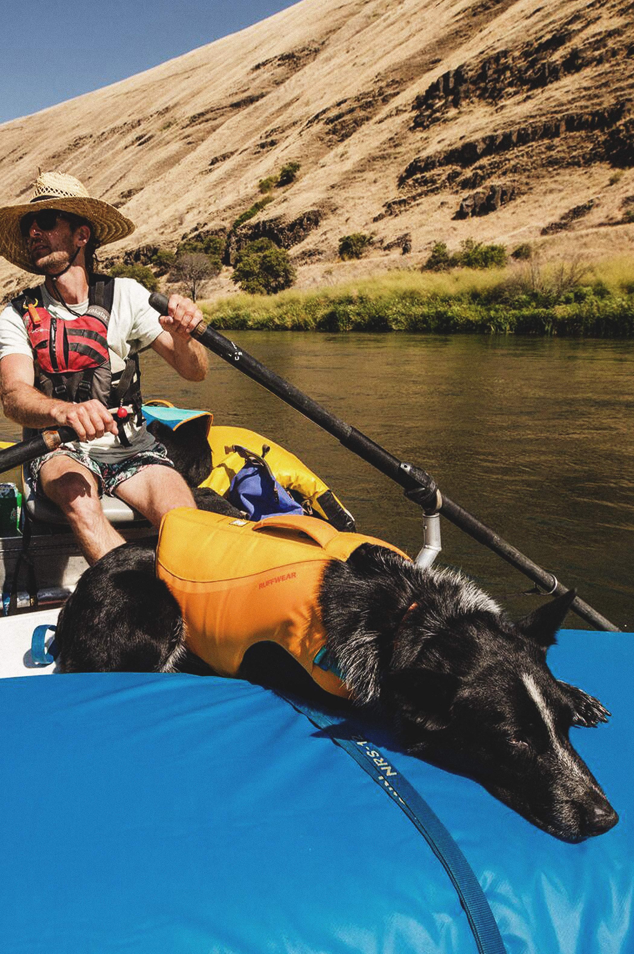 Float Coat Dog Life Jacket